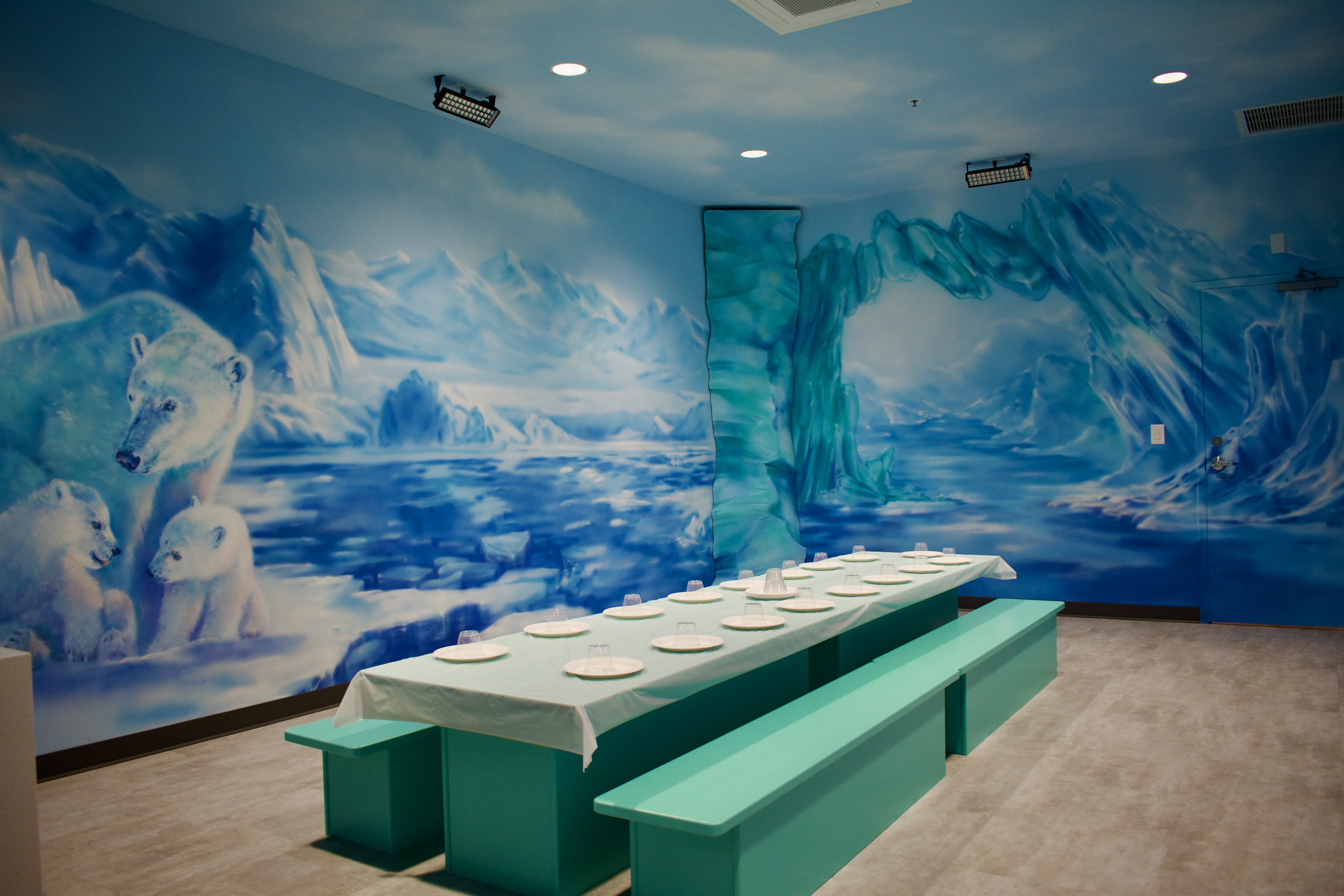 Ice Room Themed Room