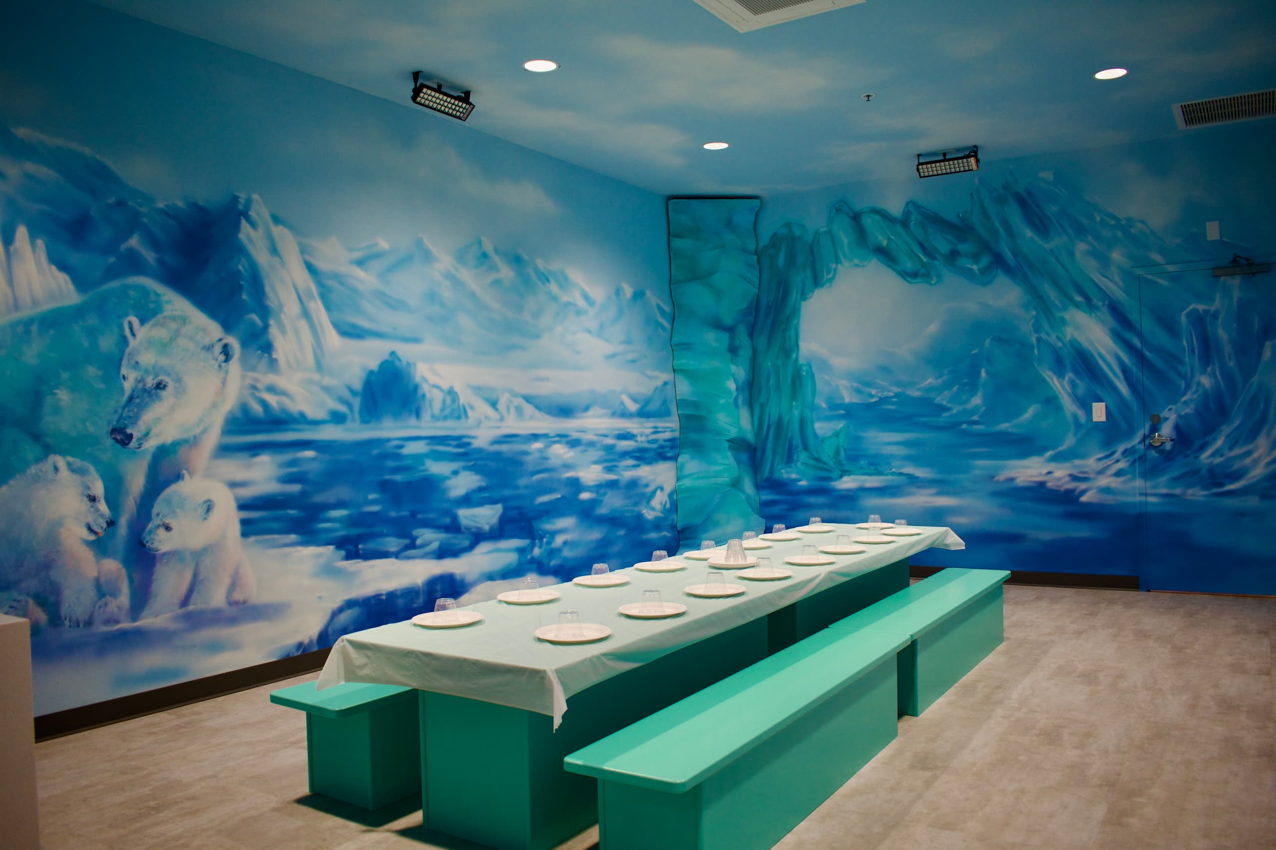 Ice Room Themed Room
