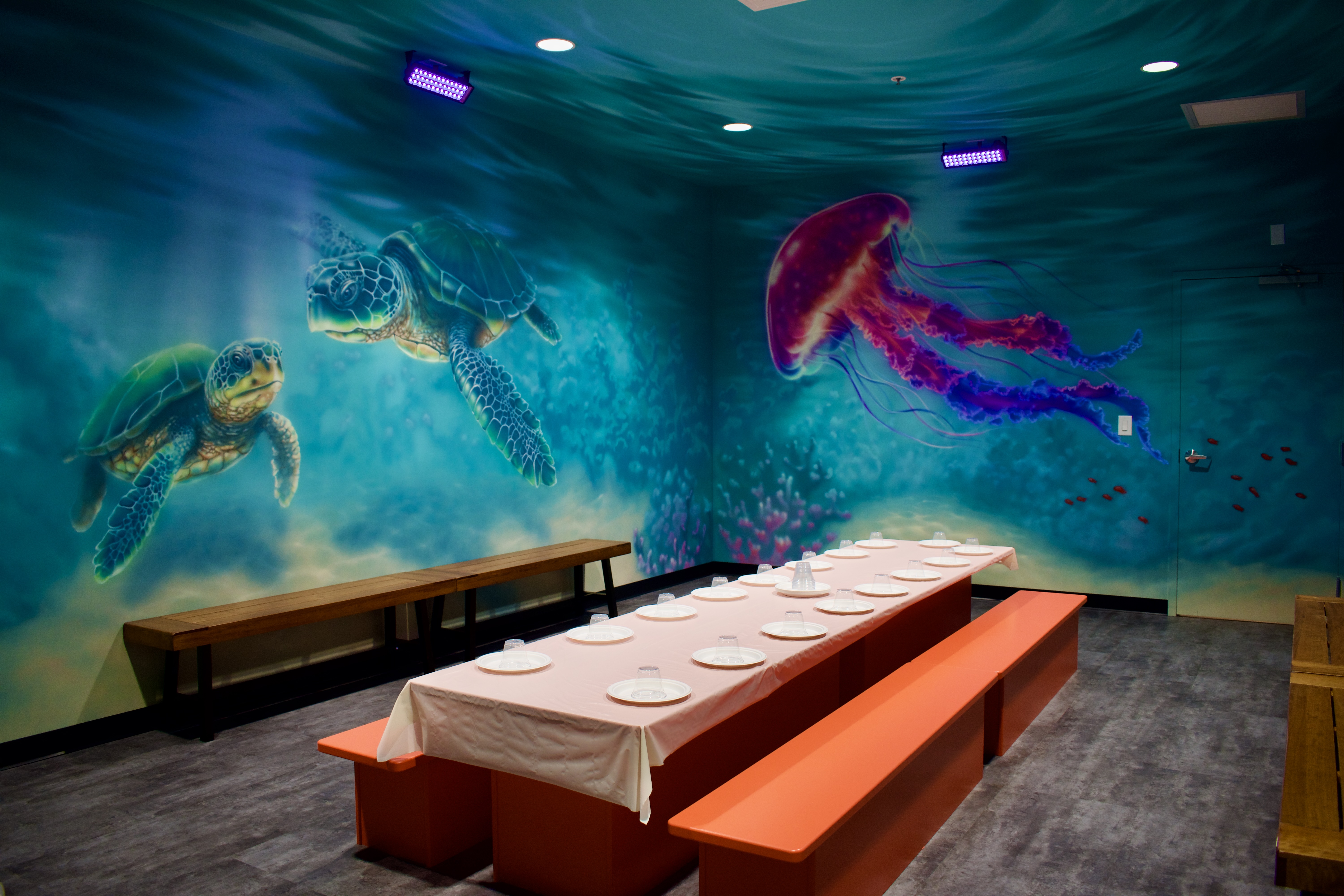 Underwater Room Themed Room