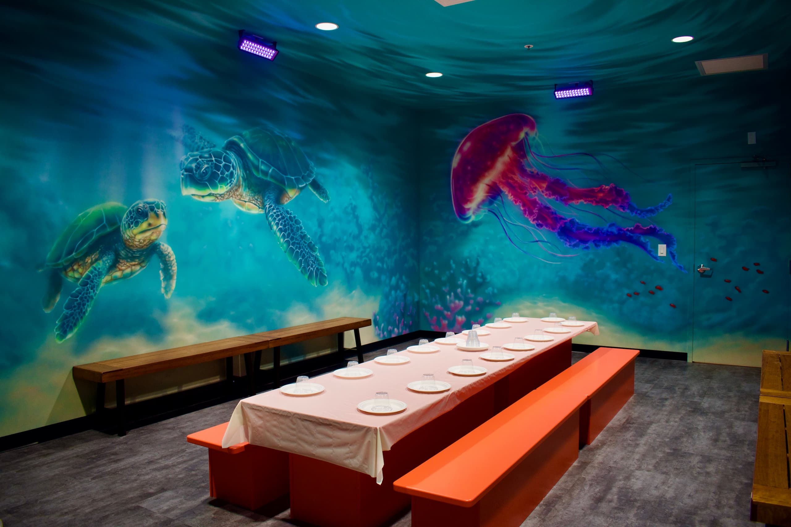 Underwater Room Themed Room